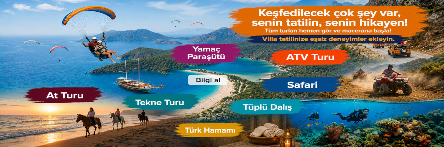 holigotravel