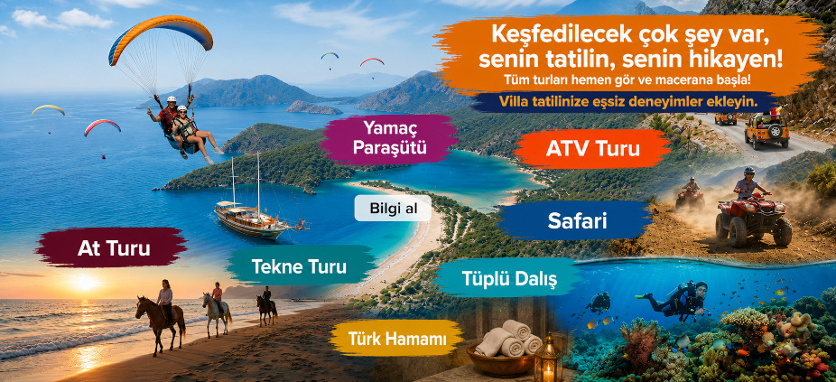holigotravel